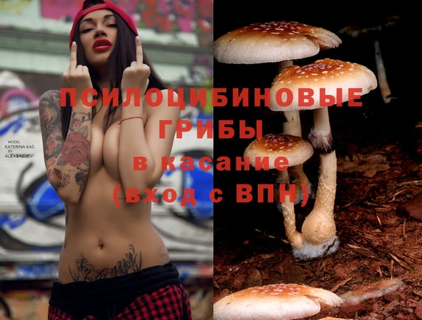 PSILOCYBIN Алзамай