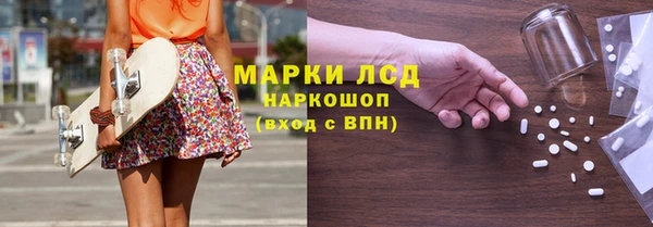 PSILOCYBIN Алзамай