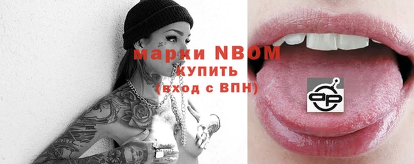 PSILOCYBIN Алзамай