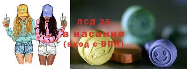 PSILOCYBIN Алзамай