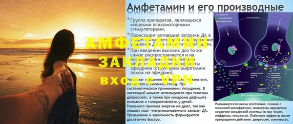PSILOCYBIN Алзамай