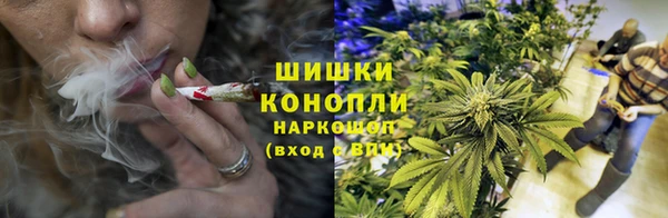 индика Нязепетровск